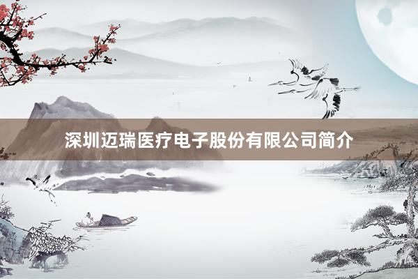 深圳迈瑞医疗电子股份有限公司简介
