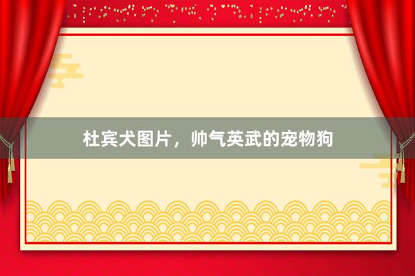 杜宾犬图片,帅气英武的宠物狗