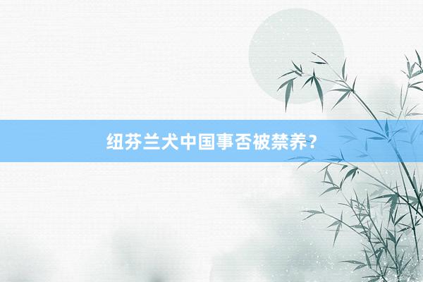 纽芬兰犬中国事否被禁养？