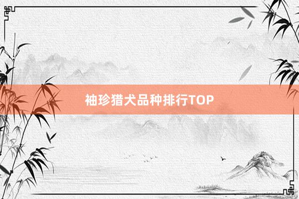 袖珍猎犬品种排行TOP