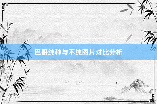 巴哥纯种与不纯图片对比分析